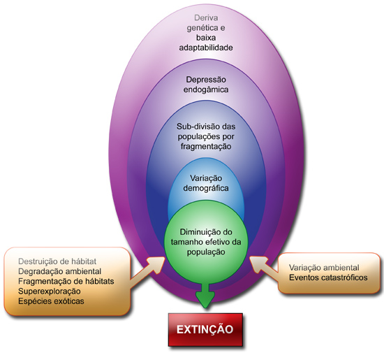 PDF) TDE -Teoria da Degeneração das Espécies